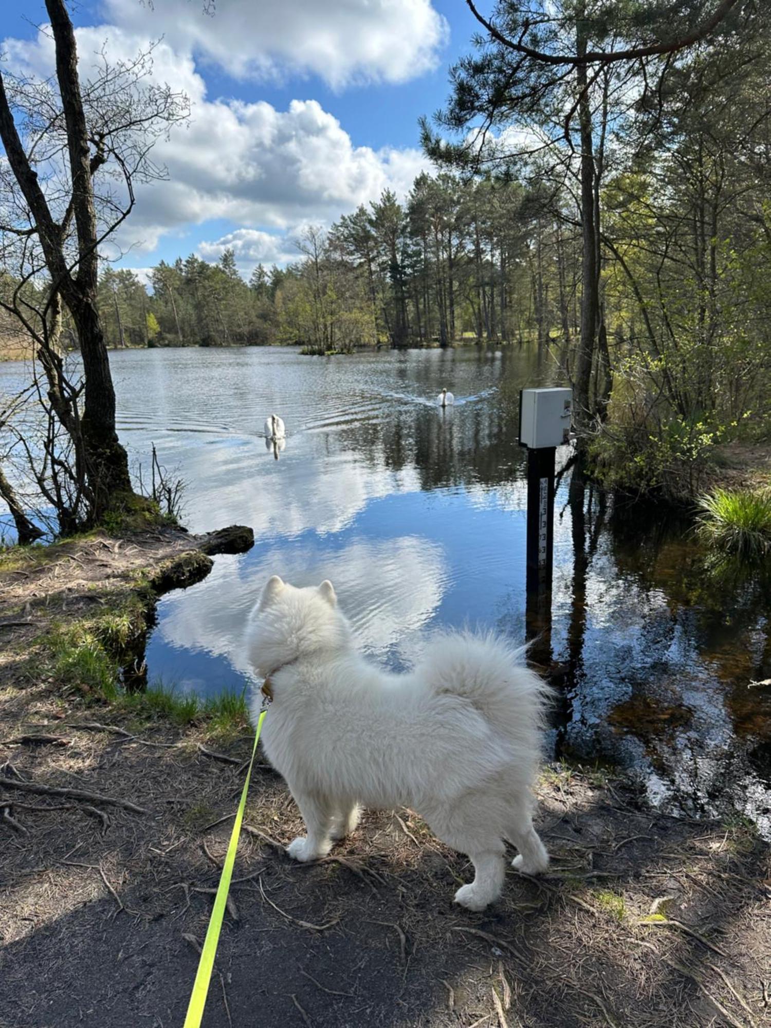 Domki Skandynawskie Kopalino Luaran gambar