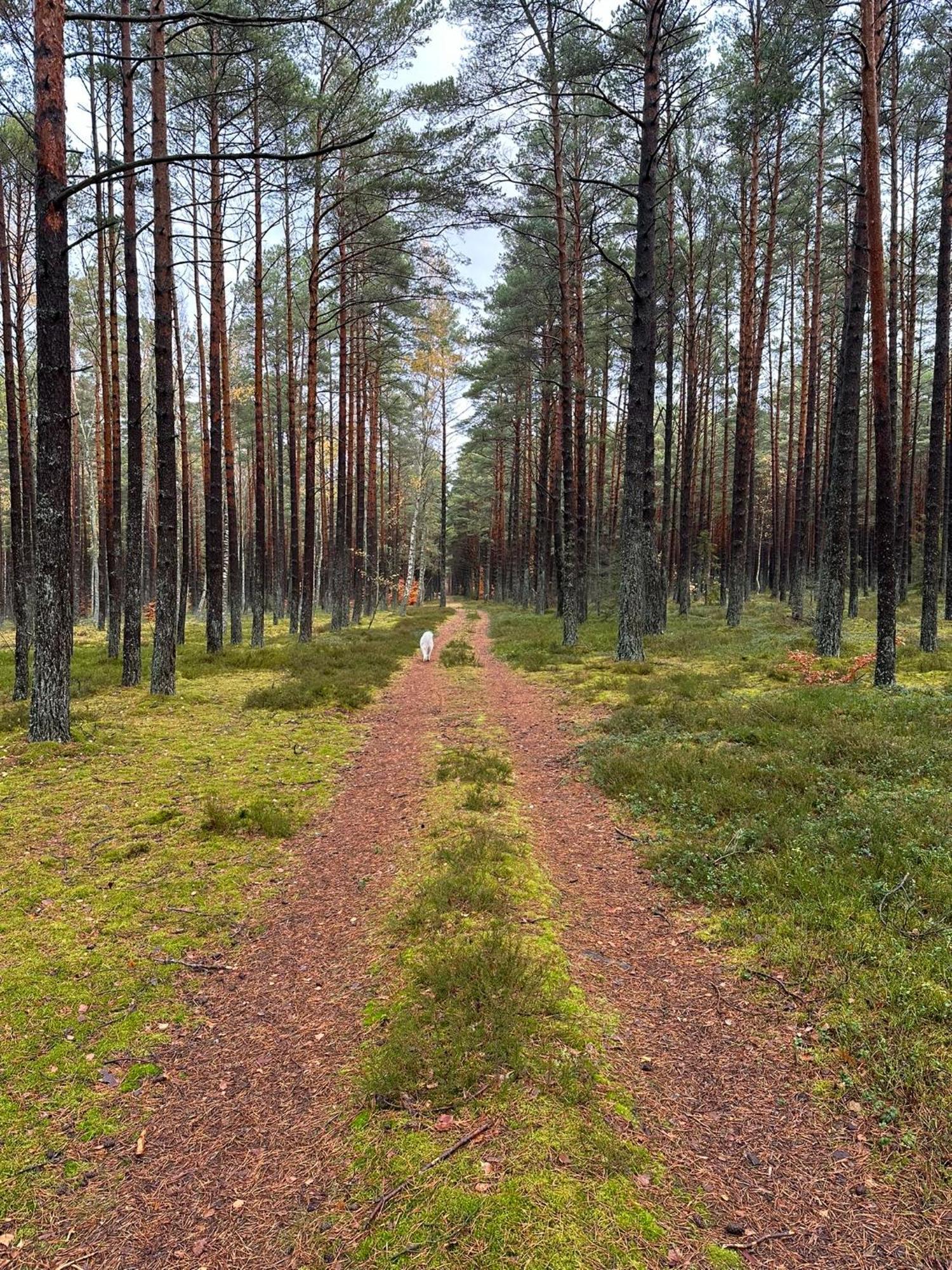 Domki Skandynawskie Kopalino Luaran gambar