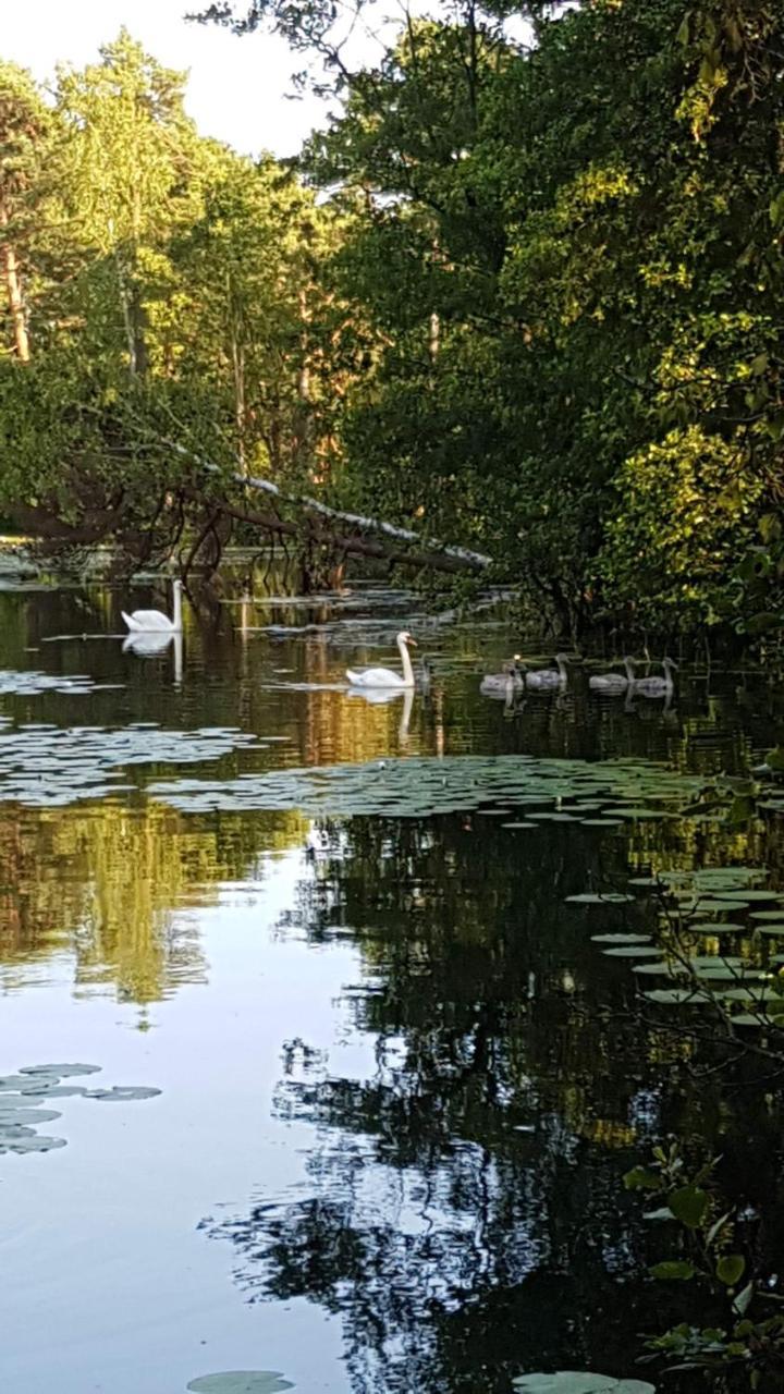 Domki Skandynawskie Kopalino Luaran gambar