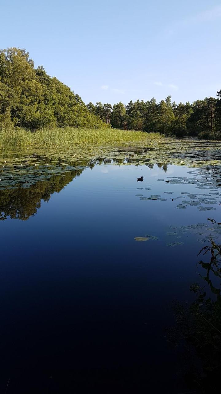 Domki Skandynawskie Kopalino Luaran gambar